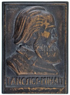 Solymári Valkó László (1909-1984) 1971. "Táncsics Mihály" Egyoldalas, öntött Bronz Plakett (92x66mm) T:AU,XF / Hungary 1 - Zonder Classificatie