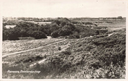 PAYS-BAS - Renesse - Duinlandschap - Vue D'un Paysage - Vue D'ensemble - Carte Postale Ancienne - Otros & Sin Clasificación