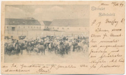 T3 1899 (Vorläufer) Bábolna, Csikó Ménes Csoportban. Czettel és Deutsch Kiadása (EK) - Zonder Classificatie