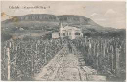 * T2/T3 1921 Badacsonylábdihegy (Badacsonytördemic), Nyaraló Villa, Szőlőskert (fl) - Sin Clasificación