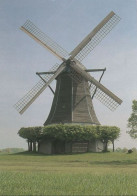 102291 - Stemwede - Destel, Windmühle - Ca. 1985 - Minden