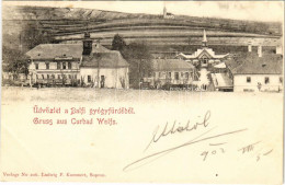 T2 1902 Balf-gyógyfürdő (Sopron). Ludwig F. Kummert - Non Classés