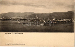 * T2/T3 Beszterce, Bistritz, Bistrita; Látkép. M. Haupt Kiadása / General View (fl) - Zonder Classificatie