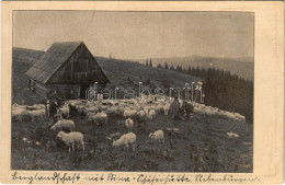 * T2/T3 Biharfüred, Stana De Vale, Stina De Vale; Gebirgslandschaft Mit Stina (Schäferhütte) Aus Siebenbürgen / Erdélyi  - Non Classés