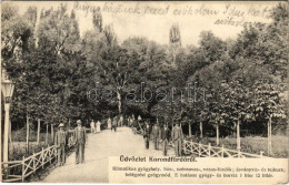 T2/T3 Korondfürdő, Corund; Fürdő Park, Reklám / Spa Park, Advertisement (EK) - Ohne Zuordnung