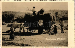 ** T2 Körösfő, Izvoru Crisului (Kalotaszeg, Tara Calatei); Szénás Szekér / Folklore, Hay Cart - Unclassified