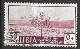 LIBIA - 1939 - 13° FIERA DI TRIPOLI - CENT. 50 - USATO (YVERT 76 - MICHEL 99 - SS 160) - Libya