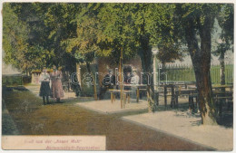 T2/T3 1909 Nagyszeben, Hermannstadt, Sibiu; Új Világ Vendéglő Kerthelyisége / Gruss Aus Der Neuen Welt / New World Resta - Zonder Classificatie