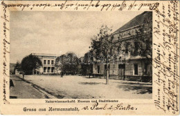 T2/T3 1903 Nagyszeben, Hermannstadt, Sibiu; Naturwissenschaftl. Museum Und Stadttheater / Természettudományi Múzeum, Szí - Zonder Classificatie