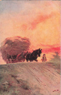 FANTAISIES - Hommes - Carrosse - Cheval - Paysan - Colorisé - Carte Postale Ancienne - Uomini