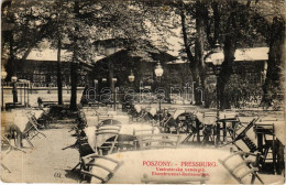 * T2/T3 1909 Pozsony, Pressburg, Bratislava; Vaskutacska Vendéglő, étterem Kert / Eisenbrünnel (Eisenbründl) / Zelezná S - Unclassified