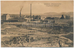 ** T2/T3 Nagybocskó, Velikij Bicskiv, Velykyy Bychkiv (Máramaros); Szódagyár. Wizner és Dávid Kiadása / Soda Factory (fl - Unclassified