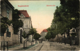 T2/T3 1908 Nagybecskerek, Zrenjanin, Veliki Beckerek; Bonnáz Utca / Street (EK) - Ohne Zuordnung