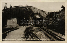 * T2/T3 1933 Schneebergbahn, Station Baumgartner / Schneeberg Cogwheel Railway's Baumgartner Station, Train (EK) - Non Classés