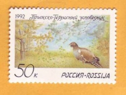 1992  Russia   Birds. Ringdove. Fauna. Forest. Landscape 1v Mint - Tauben & Flughühner