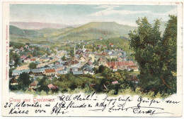 T3 1901 Gracanica, General View. Alleinverlag M. Kohn, Hotelier (tear) - Ohne Zuordnung
