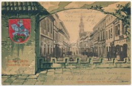 T2 1902 Vysoke Myto, Otakarová Trída / Street, Shops. Jana Novák Art Nouveau, Coat Of Arms Litho - Unclassified