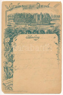 T3 1892 (Vorläufer) Altenburg, Gruss Von Der Insel, Grosser Teich. Hauenstein U. Nestler Art Nouveau, Floral (EB) - Non Classificati