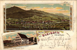 T2/T3 1905 Bleibach (Gutach Im Breisgau), Hornleberg, Gasthaus Zur Sonne V. H. Wehrle / General View, Inn. Art Nouveau,  - Zonder Classificatie