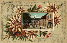 T4 1907 Germersheim, Ludwigstrasse, Kaserne Seyssel / Street View, German Military Barracks. Art Nouveau, Floral, Emb. L - Unclassified