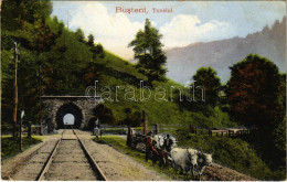 * T2/T3 Busteni, Tunelul / Railway Tunnel (EK) - Non Classés