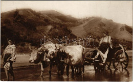 ** T2/T3 Romania, Oxen Cart With Romanian Women, Folklore. A. Bellu "Cartea Romaneasca" Bucuresti (fl) - Non Classés