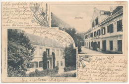 T2/T3 1908 Lasko, Tüffer; Villa Sann, Mühlhof Hotel. Verlag Josefine Zink, Art Nouveau, Floral (EK) - Ohne Zuordnung