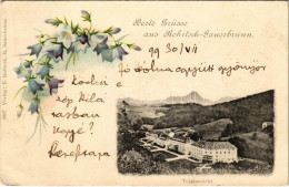 * T2/T3 1899 (Vorläufer) Rogaska Slatina, Rohitsch-Sauerbrunn; Totalansicht / General View, Spa. Floral, Litho (EK) - Ohne Zuordnung