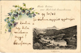 * T2/T3 1899 (Vorläufer) Rogaska Slatina, Rohitsch-Sauerbrunn; Totalansicht / General View, Spa. Floral, Litho (EK) - Non Classificati
