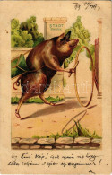 * T3 1899 (Vorläufer) Pig. Litho (EM) - Unclassified