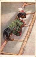 * T2/T3 Dachshund Dog On A Ladder. B.K.W.I. 797-6. S: Mechle-Grosmann (EK) - Ohne Zuordnung