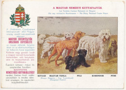 ** T2/T3 Magyar Nemzeti Kutyafajták. A Magyar Ebtenyésztők Országos Egyesületének Kiadása. Kuvasz, Magyar Vizsla, Puli,  - Sin Clasificación