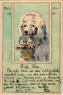 T2/T3 1901 Juli, Tölz / Uszkár Kutya Kis Cicákkal - Kézzel Festett / Poodle Dog With Kittens - Hand Painted (EK) - Sin Clasificación