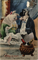 T3 1906 Boldog Újévet! / New Year Greeting Art Postcard With Celebrating Pigs S: C. J. (EB) - Non Classificati