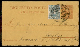 Regno - Interi - Biglietto Postale 20 Cent Per La Germania Affrancato 5 Cent (59) Annullo Ambulante Pisa-Genova 6 Feb. 9 - Altri & Non Classificati