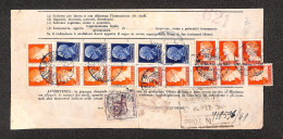 Regno - Documenti/Varie - Duplicazione Buoni Fruttiferi - Cinque 1,25 Lire (253) + Tredici 1,75 Lire (254) + 50 Cent Lup - Other & Unclassified