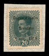 Occupazioni I Guerra Mondiale - Trentino-Alto Adige - 1918 - 20 Heller (7d) Errore 8 - Nuovo Senza Gomma (applicato Su S - Altri & Non Classificati