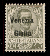 Occupazioni I Guerra Mondiale - Venezia Giulia - 1918 - 45 Cent (26) - Gomma Integra - Sonstige & Ohne Zuordnung