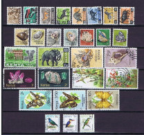 Kenia: 29 Diff. Used,  Gestempelt - Kenya (1963-...)