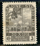 Occupazioni I Guerra Mondiale - Fiume - 1919 - 3 Corone Pro Fondazione Studio (71) - Gomma Originale - Sonstige & Ohne Zuordnung