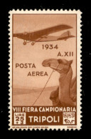 Colonie - Libia - 1934 - 25 Lire Ottava Fiera (18) - Gomma Integra - Other & Unclassified