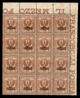 Delcampe - Colonie - Somalia - 1927 - 2 Cent Floreale (92) - Blocco Angolare Di 16 - Gomma Integra - Sonstige & Ohne Zuordnung