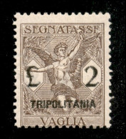 Colonie - Tripolitania - 1924 - 2 Lire Segnatasse Vaglia (5) - Gomma Integra - Other & Unclassified