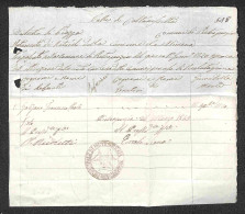 DOCUMENTI/VARIE - 1849 - Trinacria Di Pietraperzia - Certificato Di Stato Civile - Other & Unclassified