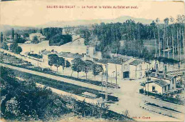 31 - Salies Du Salat - Le Pont Et La Vallée Du Salat En Aval - Oblitération Ronde De 1910 - CPA - Voir Scans Recto-Verso - Salies-du-Salat