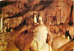 48 - Meyrueis - Grotte De Dargilan - Le Père Noël - CPM - Voir Scans Recto-Verso - Meyrueis