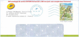 Entier FRANCE - PAP Enveloppe Service Phil@poste Obl. 2009 - France Comme J'aime - TVP Iguane Des Antilles - PAP : Su Commissione Privata TSC E Sovrastampe Semi-ufficiali