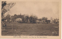 SURVILLIERS - VUE DU PRE SAINT MARTIN - Survilliers