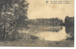 CP Le Grand Marais à STAELEN / Het Groot Moeras Te Staelen ( Cachet Hasselt ) Genk - Genk