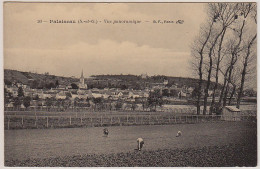 91 - B13650CPA - PALAISEAU - Vue Panoramique - Parfait état - ESSONNE - Palaiseau